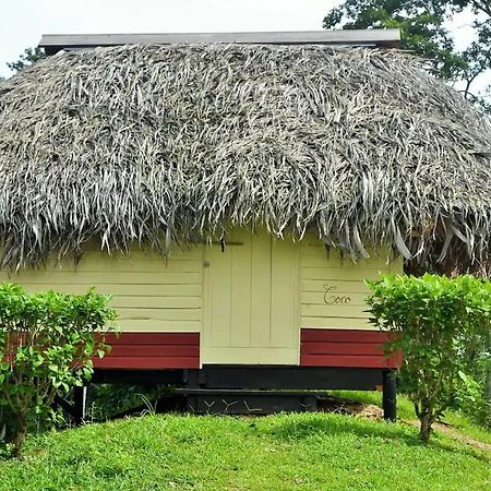 Nathylodge Bocas Town Dış mekan fotoğraf