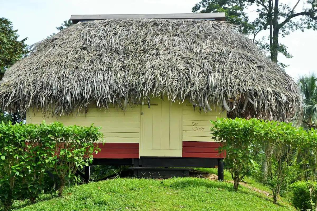 Nathylodge Bocas Town Dış mekan fotoğraf