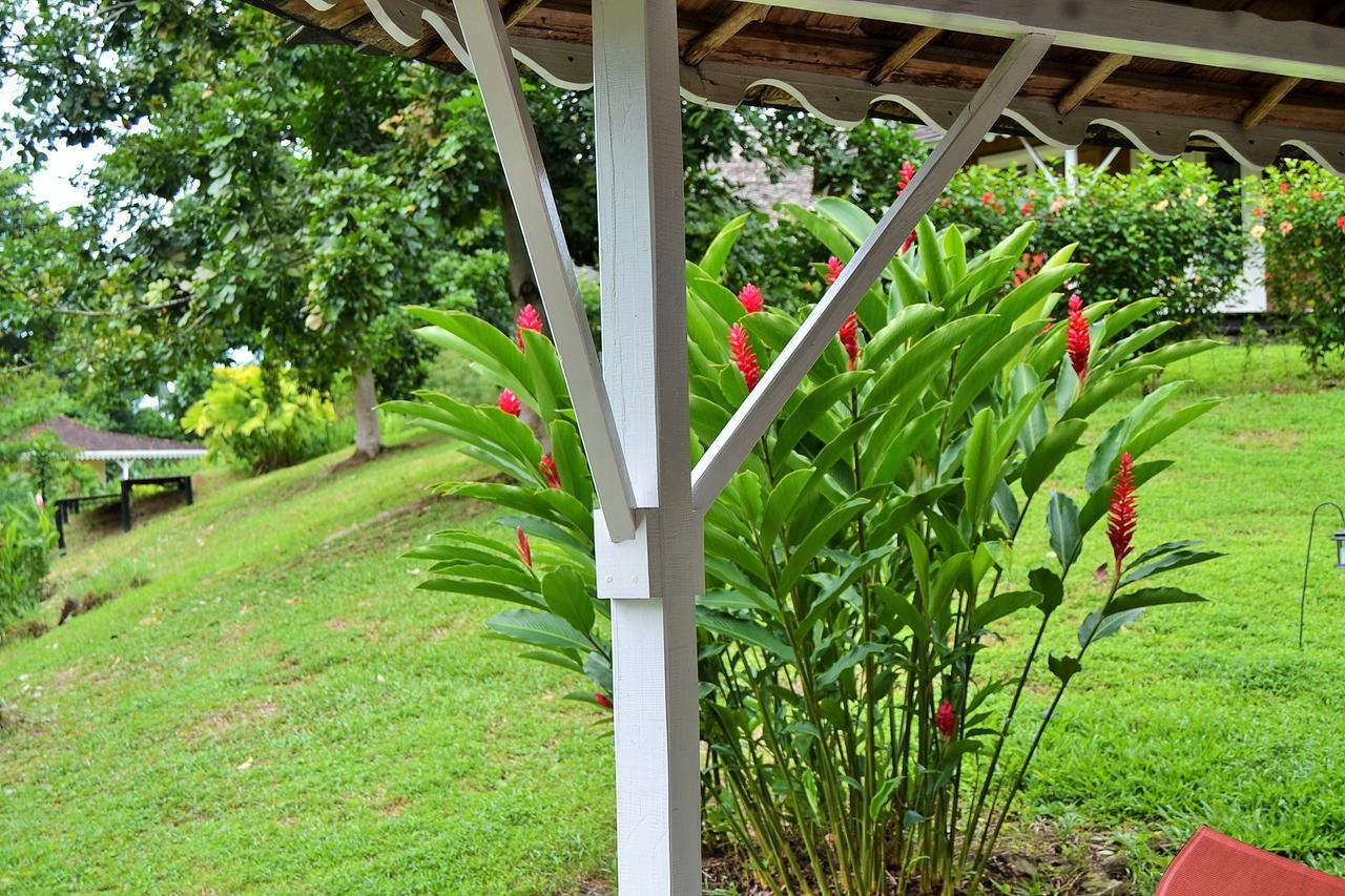 Nathylodge Bocas Town Dış mekan fotoğraf