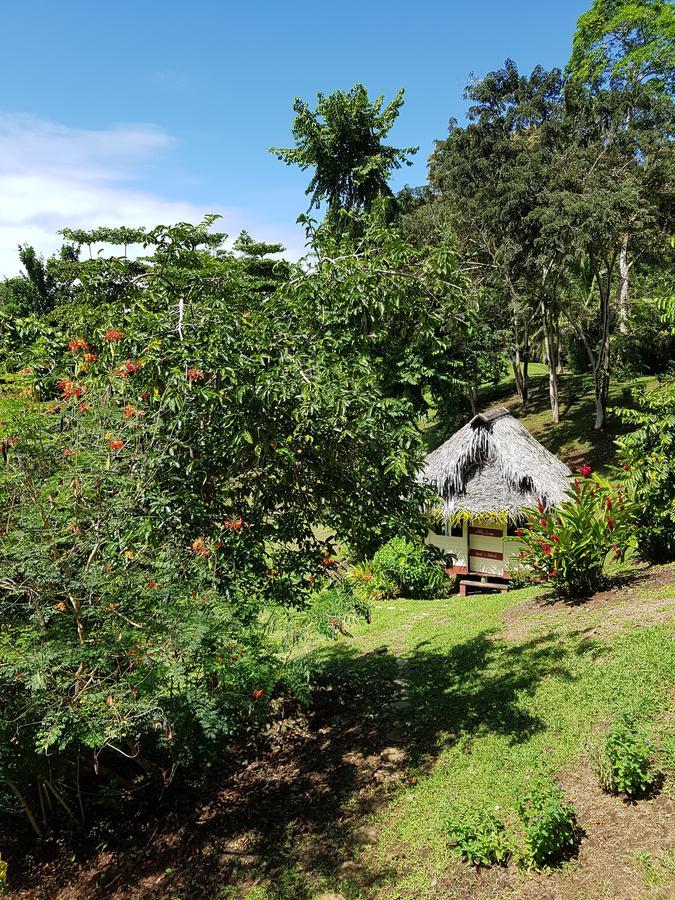 Nathylodge Bocas Town Dış mekan fotoğraf